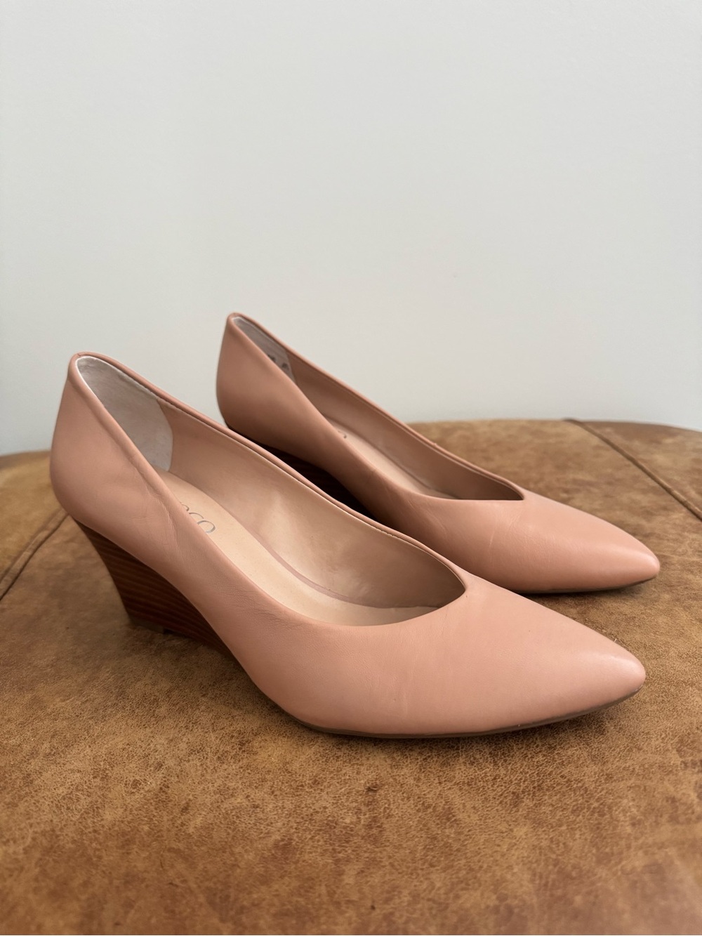 Women’s Neutral Blush Pointed-Toe Wedge Pumps